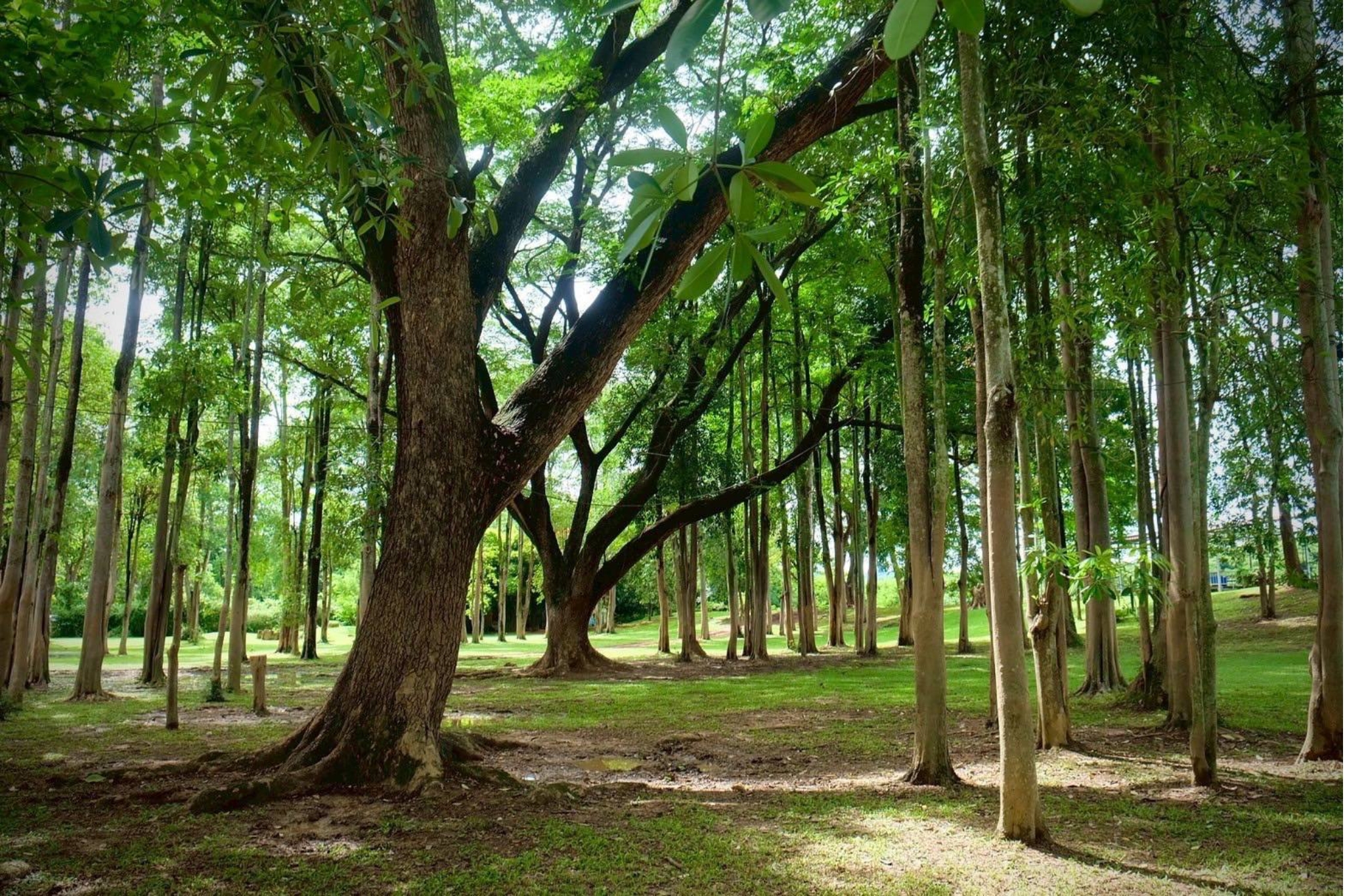 ภาพสไลด์ กาญจนบุรี